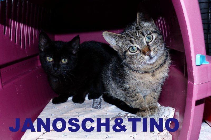 Janosch&Tino1.16